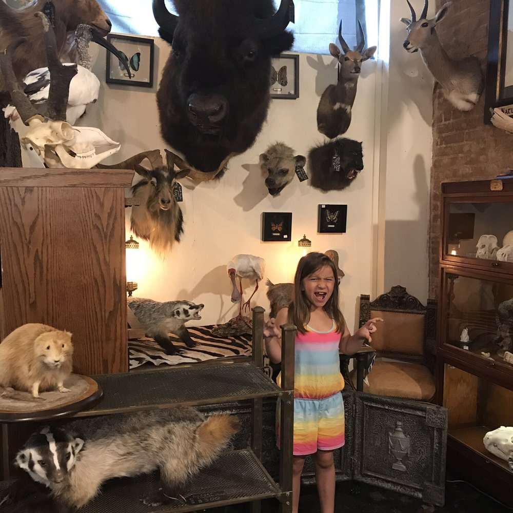 Dolly Python - Used, Vintage & Consignment Near Me - Dallas, Texas
