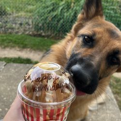 Rita's Italian Ice & Frozen Custard - Frozen Custard