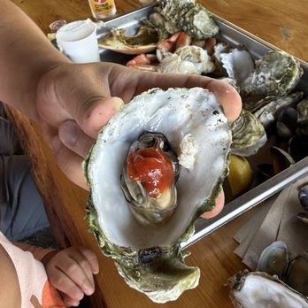Kelly Brighton Marina - Oysters - Seafood Near Me - Rockaway Beach, Oregon Kelly Brighton Marina - Oysters - Seafood Near Me - Rockaway Beach, Oregon