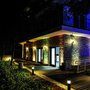 Photo of Golden Tulip