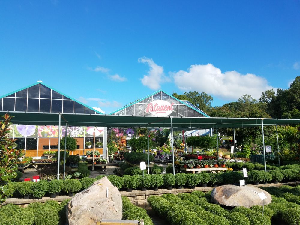 Patuxent Nursery 72 Photos 49 Reviews Nurseries Gardening 2410 N Crain Hwy Bowie Md United States Phone Number Yelp Patuxent Nursery 72 Photos 49