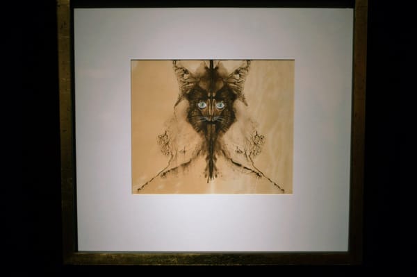 Museo de Arte Moderno by null