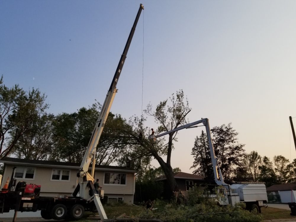 Tip Top Crane & Tree of Iowa - tree service in Cedar Rapids, IA