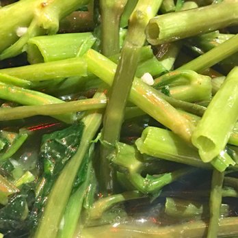 Bamboo House - Noodles Near Me - Humble, Texas Bamboo House - Noodles Near Me - Humble, Texas
