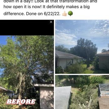 Heavy Duty Trimmers - Tree Services Near Me Heavy Duty Trimmers - Tree Services Near Me