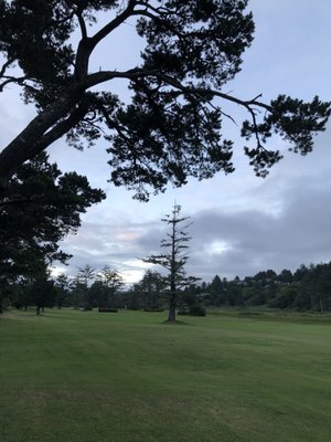 NESKOWIN BEACH GOLF COURSE Updated May 2025 48405 Hawk St Neskowin