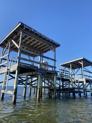 Flamingo Campground by null