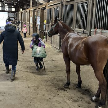 Hepner-Hart Stables - Taking the horse out to the arena. - Horseback Riding Near Me - Hillsboro, Oregon Hepner-Hart Stables - Taking the horse out to the arena. - Horseback Riding Near Me - Hillsboro, Oregon
