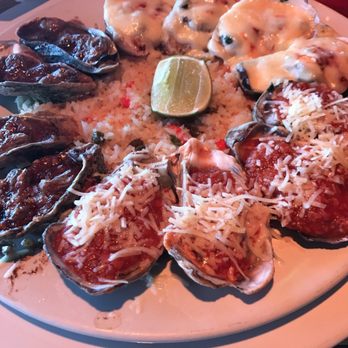 Señor Frog's - Oyster 4 sample - Mexican Near Me - Cozumel, ROO Señor Frog's - Oyster 4 sample - Mexican Near Me - Cozumel, ROO