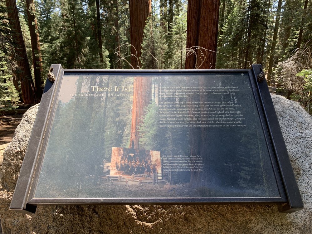SEQUOIA NATIONAL PARK LODGING & RESERVATIONS 17 Photos Hotels Sequoia National Park, Three