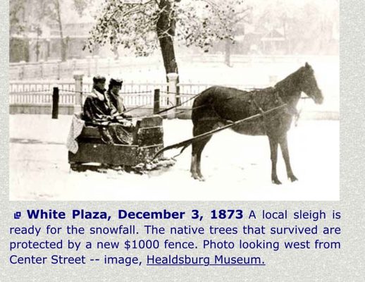 Healdsburg Plaza by null