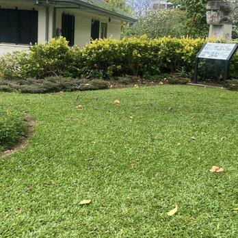 Foster Botanical Garden - Botanical Gardens Near Me - Honolulu, Hawaii