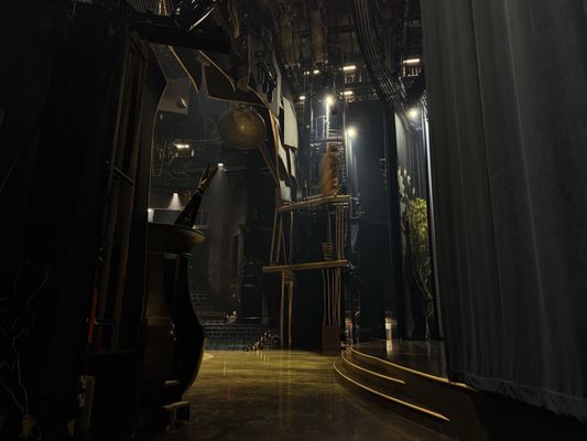 Drawn to Life presented by Cirque du Soleil & Disney by null