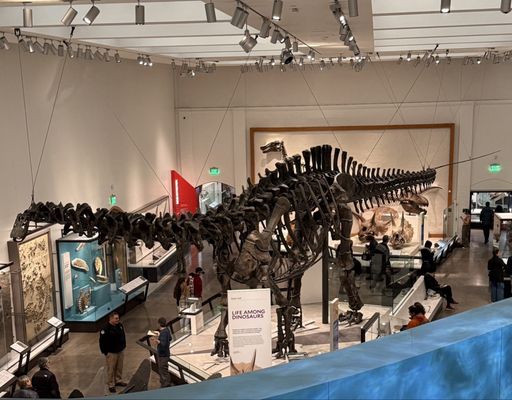 Yale Peabody Museum by null