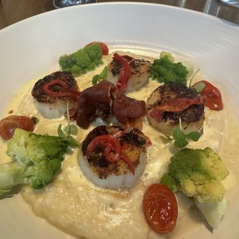 Olivia - Scallops - Pizza Near Me - St. Petersburg, Florida Olivia - Scallops - Pizza Near Me - St. Petersburg, Florida