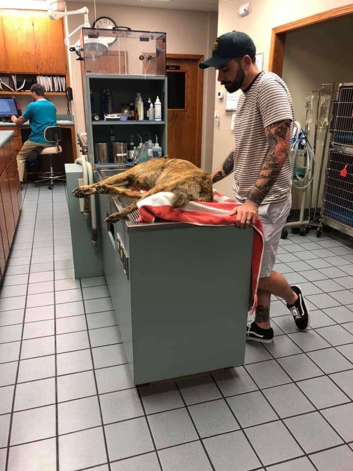 KOUNTRY KENNEL DOGGIE BOARD & DA Updated September 2024 1293