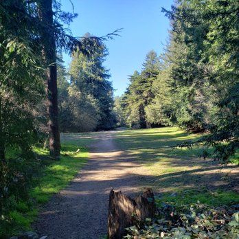Joaquin Miller Park - The meadow - Parks Near Me - Oakland, California