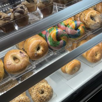 Velocity Coffee & Roasters - Bagels and spread option was in point! - Coffee & Tea Near Me - Powell, Tennessee