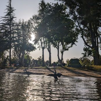 Woodward Reservoir - View of campsite from the water - Boating Near Me - Oakdale, California Woodward Reservoir - View of campsite from the water - Boating Near Me - Oakdale, California