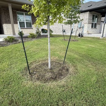 Nature'sTouch - Lawn Services Near Me - Austin, Texas Nature'sTouch - Lawn Services Near Me - Austin, Texas