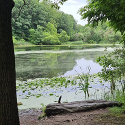 Oakland Lake