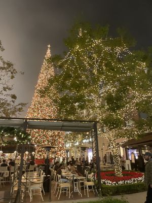 The Americana at Brand by null