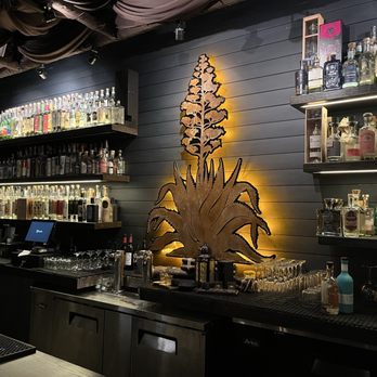 Pata Negra - Bar and the tequila plant - Mexican Near Me - Atlanta, Georgia Pata Negra - Bar and the tequila plant - Mexican Near Me - Atlanta, Georgia