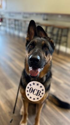 Old Colony Brewing by null