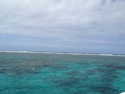 Great Barrier Reef by null