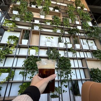 Provision - Cold brew - Coffee & Tea Near Me - Phoenix, Arizona Provision - Cold brew - Coffee & Tea Near Me - Phoenix, Arizona