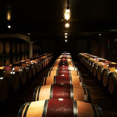Becker Vineyards by null