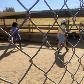 Barnyard Buddies - Petting Zoos Near Me - Lakewood, California