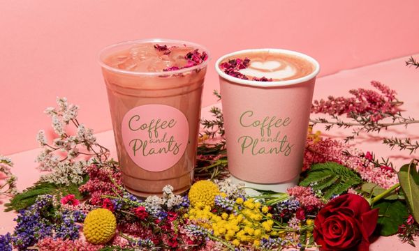 Coffee and Plants by null