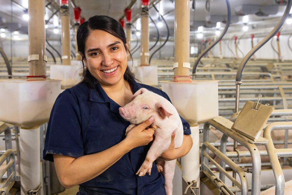 PIPESTONE VETERINARY SERVICES Updated September 2025 405 20th Ave