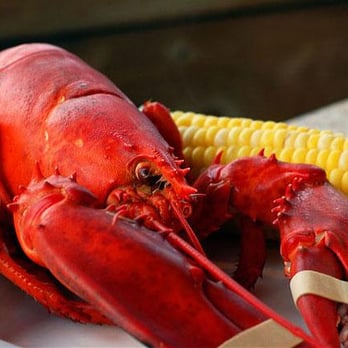 Nauset Fish & Lobster Pool - Seafood Markets Near Me - Orleans, Massachusetts Nauset Fish & Lobster Pool - Seafood Markets Near Me - Orleans, Massachusetts