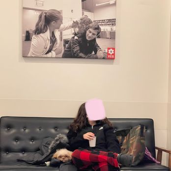 VEG ER for Pets - Emergency Pet Hospital Near Me - Clifton, New Jersey VEG ER for Pets - Emergency Pet Hospital Near Me - Clifton, New Jersey