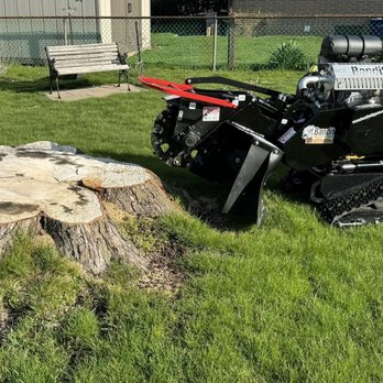Precision Tree Stump Grinding  - 1 - Tree Services Near Me