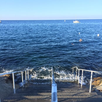Catalina Island - Rent a snorkel and mask and behold the crazy wonders below the surface of this water! All the fish and kelp forest - Local Flavor Near Me Catalina Island - Rent a snorkel and mask and behold the crazy wonders below the surface of this water! All the fish and kelp forest - Local Flavor Near Me