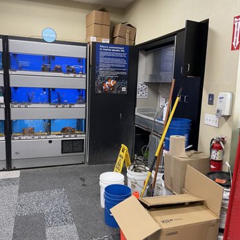 Petco - Inside - Pet Stores Near Me - Sacramento, California Petco - Inside - Pet Stores Near Me - Sacramento, California