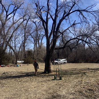 Hill Tree Service - a man standing under a tree - Tree Services Near Me