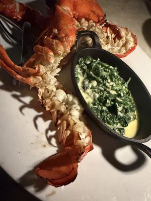 Aquarelle NYC by null