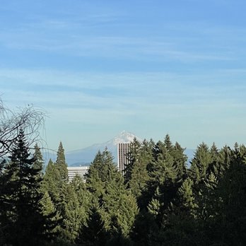 Washington Park - View of Mt Hood - Parks Near Me - Portland, Oregon Washington Park - View of Mt Hood - Parks Near Me - Portland, Oregon