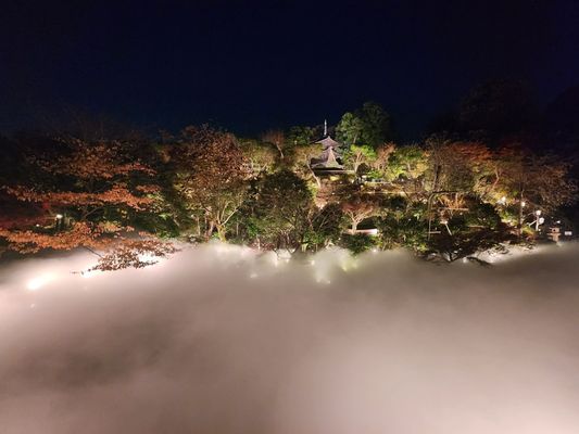 Hotel Chinzanso Tokyo by null