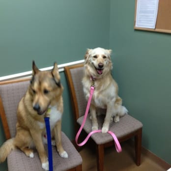 CareVet of Dames Point Crossing - Just hanging out at the Vets - Veterinarians Near Me - Jacksonville, Florida CareVet of Dames Point Crossing - Just hanging out at the Vets - Veterinarians Near Me - Jacksonville, Florida