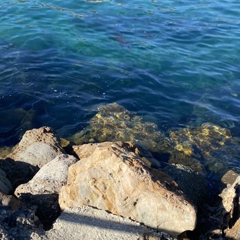 Catalina Island - Local Flavor Near Me Catalina Island - Local Flavor Near Me