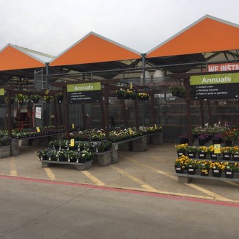 The Home Depot - Lots of pansies - Nurseries & Gardening Near Me - The Colony, Texas The Home Depot - Lots of pansies - Nurseries & Gardening Near Me - The Colony, Texas