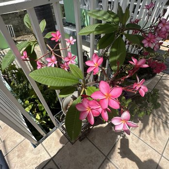 Las Vistas Cafe - Breakfast & Brunch Near Me - Fajardo, Puerto Rico Las Vistas Cafe - Breakfast & Brunch Near Me - Fajardo, Puerto Rico