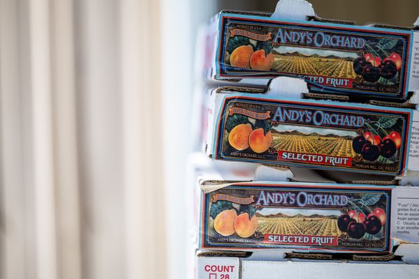 Andy's Orchard by null