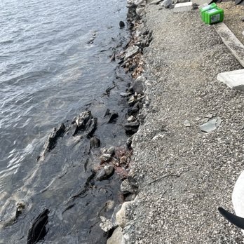 Franky Stonewalls and Construction - Collapsed wall - still no response from Franky :\ - General Contractors Near Me - Montgomery, New York
