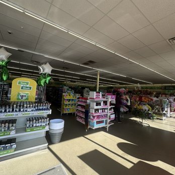 Dollar Tree - Walking in.... - Discount Store Near Me - Chowchilla, California Dollar Tree - Walking in.... - Discount Store Near Me - Chowchilla, California